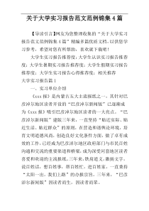 关于大学实习报告范文范例锦集4篇