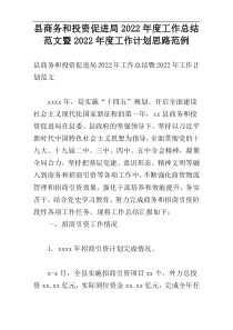 县商务和投资促进局2022年度工作总结范文暨2022年度工作计划思路范例