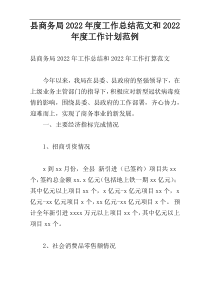 县商务局2022年度工作总结范文和2022年度工作计划范例