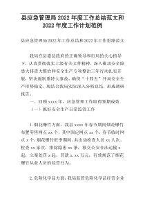 县应急管理局2022年度工作总结范文和2022年度工作计划范例