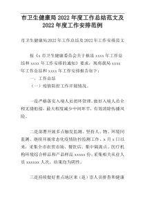 市卫生健康局2022年度工作总结范文及2022年度工作安排范例