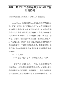 县统计局2022工作总结范文与2022工作计划范例