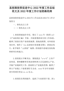 县招商投资促进中心2022年度工作总结范文及2022年度工作计划思路范例