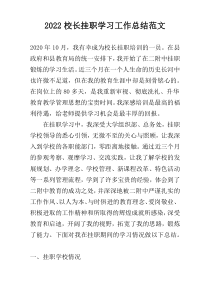 2022校长挂职学习工作总结范文