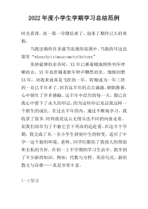 2022年度小学生学期学习总结范例