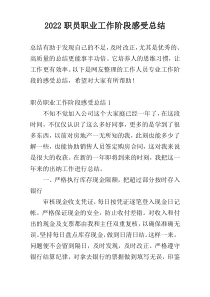 2022职员职业工作阶段感受总结