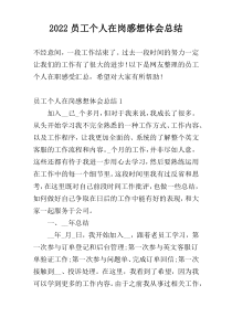 2022员工个人在岗感想体会总结