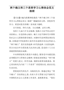 两个确立和三个表率学习心得体会范文 杨硕