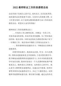 2022教师职业工作阶段感想总结