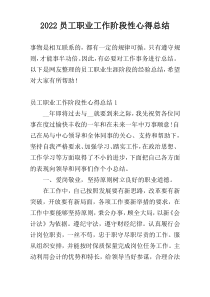 2022员工职业工作阶段性心得总结