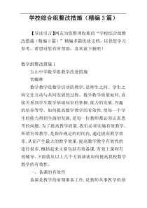 学校综合组整改措施（精编3篇）