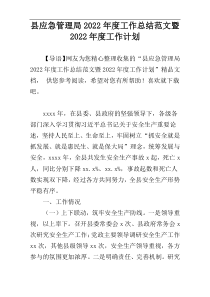 县应急管理局2022年度工作总结范文暨2022年度工作计划