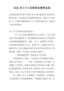 2022员工个人在职体会感受总结