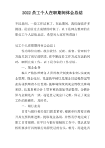 2022员工个人在职期间体会总结