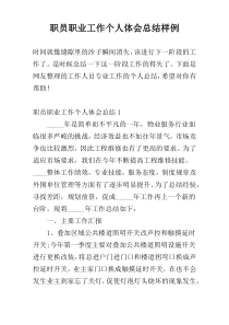 职员职业工作个人体会总结样例