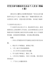 村党支部专题组织生活会个人发言（精编5篇）