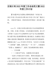 区统计局2022年度工作总结范文暨2022年度工作计划