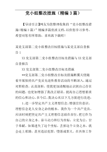 党小组整改措施（精编3篇）