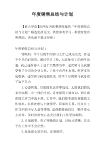 年度销售总结与计划