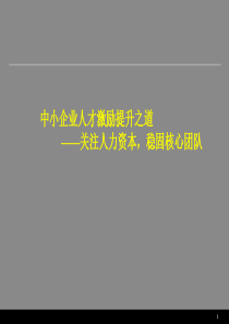 XXXX年中小企业人才激励提升之道培训课程课件