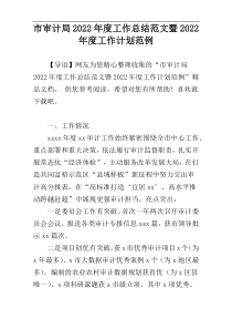 市审计局2022年度工作总结范文暨2022年度工作计划范例