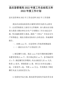 县应急管理局2022年度工作总结范文和2022年度工作计划