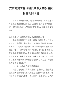 支部党建工作巡视反馈意见整改情况报告范例3篇