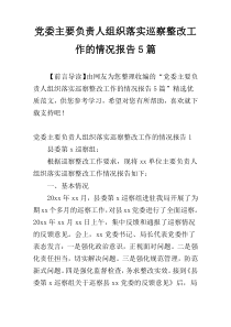 党委主要负责人组织落实巡察整改工作的情况报告5篇