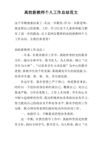 高校新教师个人工作总结范文