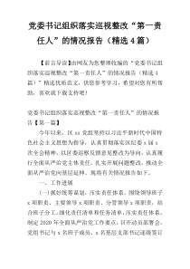 党委书记组织落实巡视整改“第一责任人”的情况报告（精选4篇）