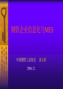 漆永新-钢铁企业信息化与MES0612