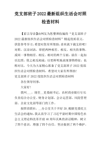 党支部班子2022最新组织生活会对照检查材料