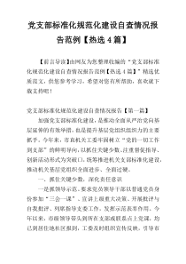 党支部标准化规范化建设自查情况报告范例【热选4篇】