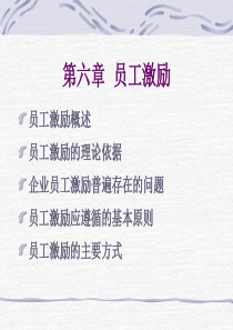 人力资源——员工激励（PPT32页）