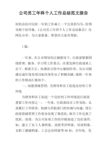 公司员工年终个人工作总结范文报告