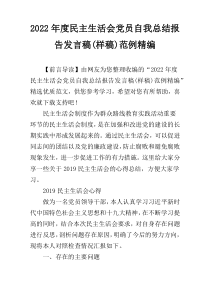 2022年度民主生活会党员自我总结报告发言稿(样稿)范例精编