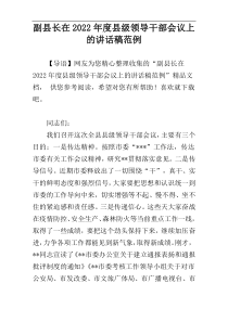 副县长在2022年度县级领导干部会议上的讲话稿范例