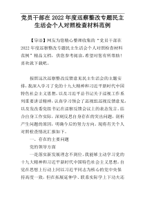 党员干部在2022年度巡察整改专题民主生活会个人对照检查材料范例