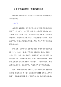 企业营销成功案例：青啤的通吃法则