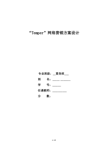 在线网站网络营销策划方案