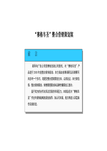 “赛格车圣”整合营销策划案