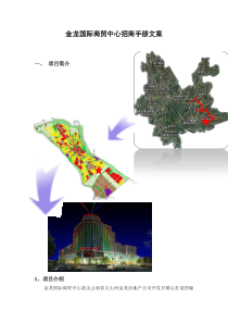 文山金龙国际商贸中心招商手册文案