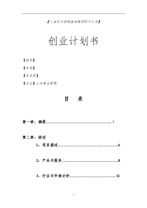 圣尔诺碳晶地暖邵阳子公司创业策划书