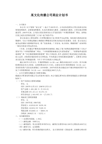 某文化传播公司商业计划书