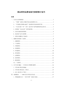 商业照明品牌省级代理营销计划书