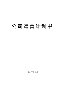 民俗度假村公司运营计划书