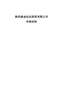 创业投资公司材料