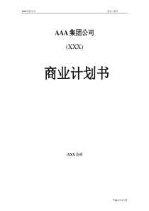 AAA集团公司 商业计划书