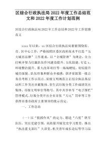 区综合行政执法局2022年度工作总结范文和2022年度工作计划范例