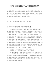 业务2022最新个人工作总结范文